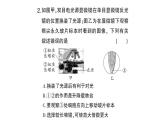 初中生物新北师大版七年级上册第2单元第2章 细胞总结训练作业课件2024秋