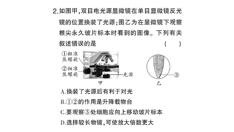 初中生物新北师大版七年级上册第2单元第2章 细胞总结训练作业课件2024秋05