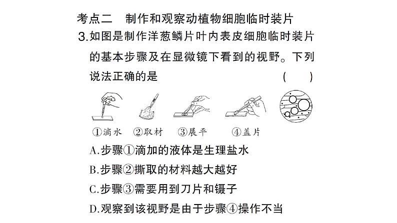 初中生物新北师大版七年级上册第2单元第2章 细胞总结训练作业课件2024秋06