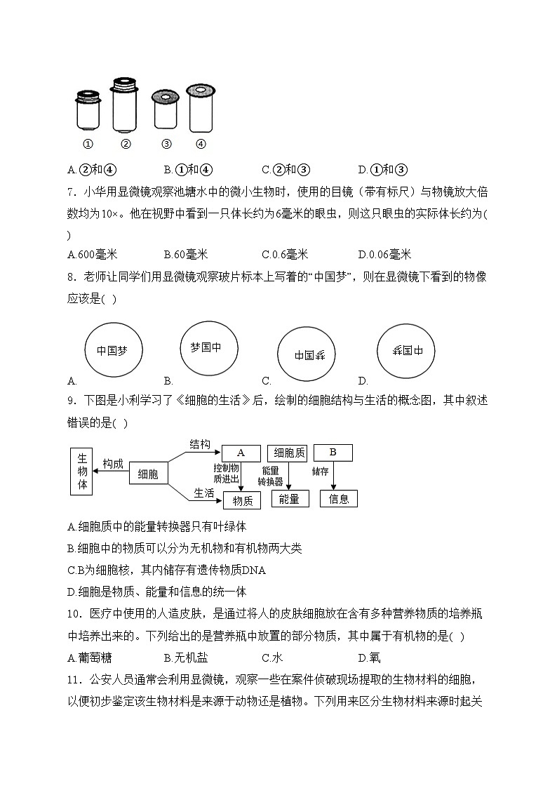 太原市晋源区实验中学校2024-2025学年七年级上学期10月月考生物试卷(含答案)02