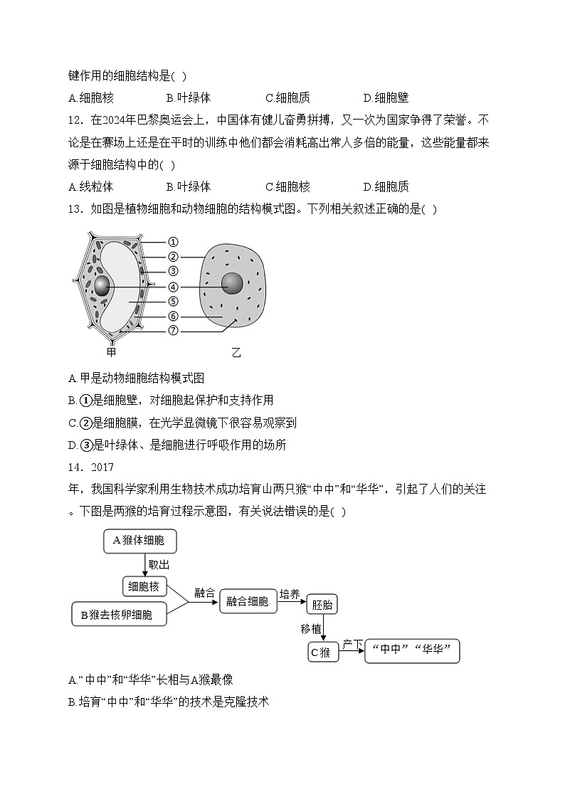 太原市晋源区实验中学校2024-2025学年七年级上学期10月月考生物试卷(含答案)03