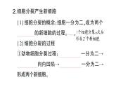 初中生物新北师大版七年级上册第2单元第3章第1节 细胞通过分裂而增殖作业课件2024秋