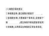 初中生物新北师大版七年级上册第2单元第3章第1节 细胞通过分裂而增殖作业课件2024秋