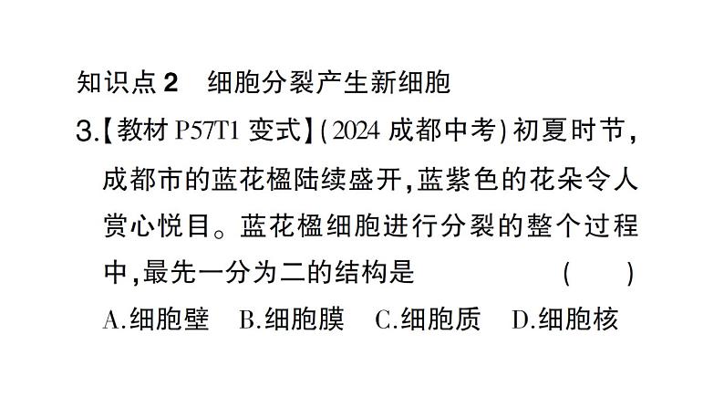 初中生物新北师大版七年级上册第2单元第3章第1节 细胞通过分裂而增殖作业课件2024秋第8页