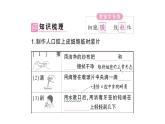 初中生物新北师大版七年级上册第2单元第2章第1节第2课时 动物细胞的结构和功能作业课件2024秋