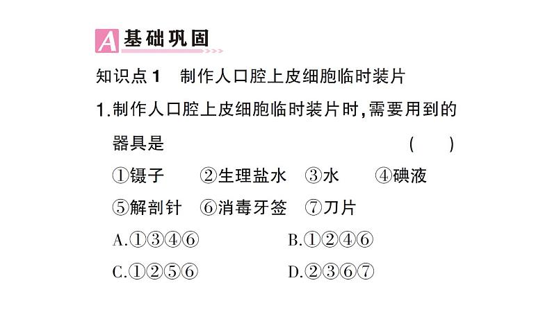 初中生物新北师大版七年级上册第2单元第2章第1节第2课时 动物细胞的结构和功能作业课件2024秋05