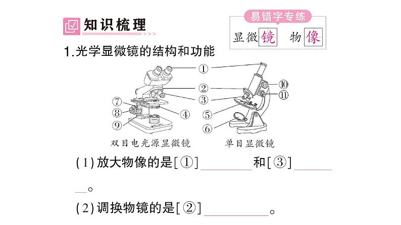 初中生物新北师大版七年级上册第2单元第2章第1节第1课时 显微镜的使用作业课件2024秋02