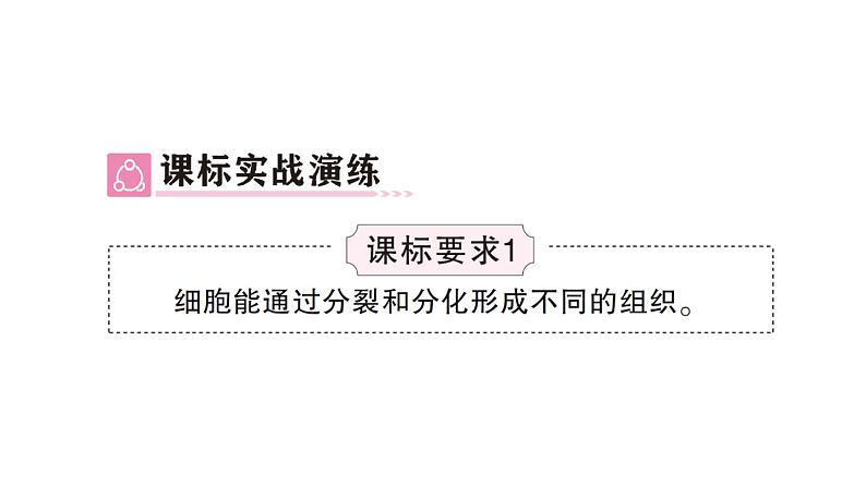 初中生物新北师大版七年级上册第2单元第3章 生物体的结构层次总结训练作业课件2024秋第3页