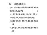 初中生物新北师大版七年级上册第2单元第3章 生物体的结构层次总结训练作业课件2024秋