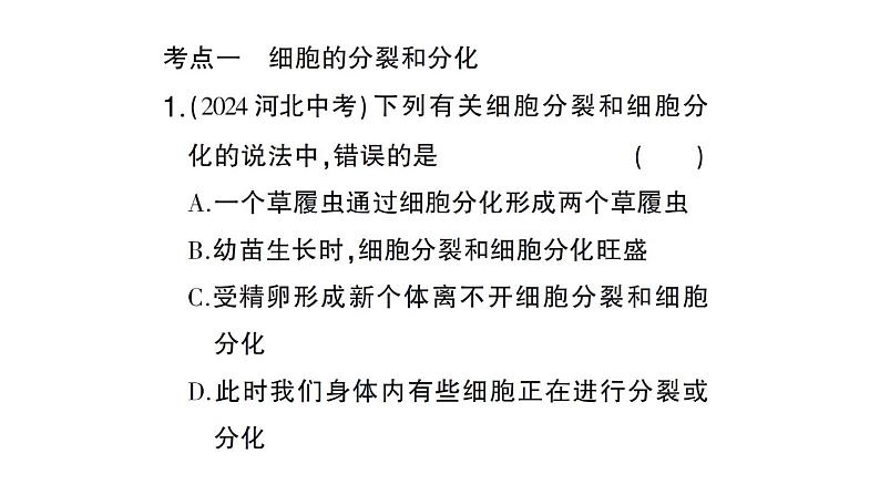 初中生物新北师大版七年级上册第2单元第3章 生物体的结构层次总结训练作业课件2024秋第4页