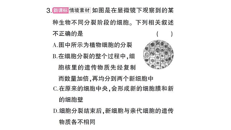 初中生物新北师大版七年级上册第2单元第3章 生物体的结构层次总结训练作业课件2024秋第6页