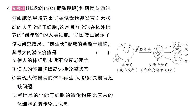 初中生物新北师大版七年级上册第2单元第3章 生物体的结构层次总结训练作业课件2024秋第7页