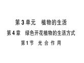 初中生物新北师大版七年级上册第3单元第4章 绿色开花植物的生活方式作业课件2024秋