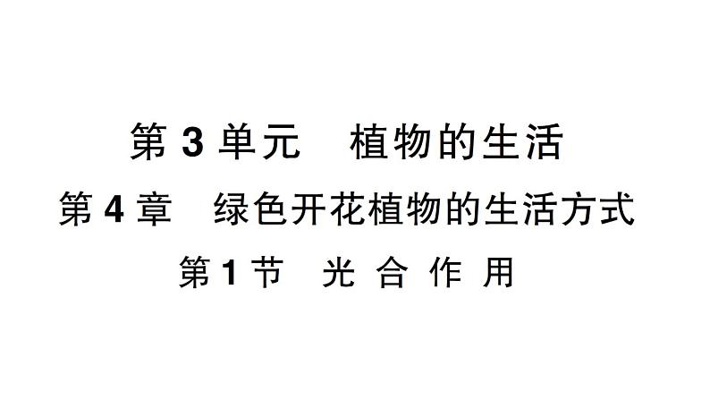 初中生物新北师大版七年级上册第3单元第4章 绿色开花植物的生活方式作业课件2024秋第1页