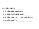 初中生物新北师大版七年级上册第3单元第4章 绿色开花植物的生活方式作业课件2024秋