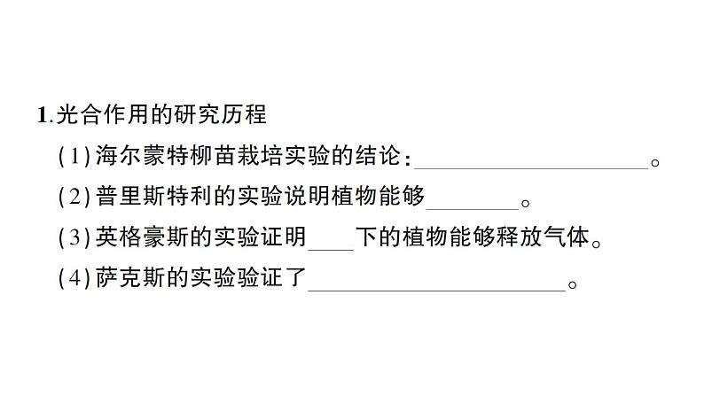 初中生物新北师大版七年级上册第3单元第4章 绿色开花植物的生活方式作业课件2024秋第2页