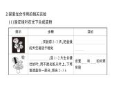 初中生物新北师大版七年级上册第3单元第4章 绿色开花植物的生活方式作业课件2024秋