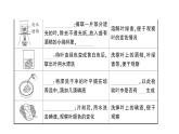 初中生物新北师大版七年级上册第3单元第4章 绿色开花植物的生活方式作业课件2024秋
