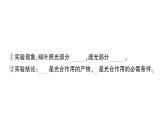 初中生物新北师大版七年级上册第3单元第4章 绿色开花植物的生活方式作业课件2024秋
