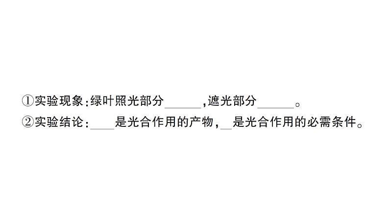 初中生物新北师大版七年级上册第3单元第4章 绿色开花植物的生活方式作业课件2024秋第5页