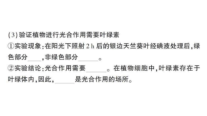 初中生物新北师大版七年级上册第3单元第4章 绿色开花植物的生活方式作业课件2024秋第7页