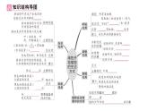 初中生物新北師大版七年級上冊第3單元第4章 綠色開花植物的生活方式總結(jié)訓練作業(yè)課件2024秋