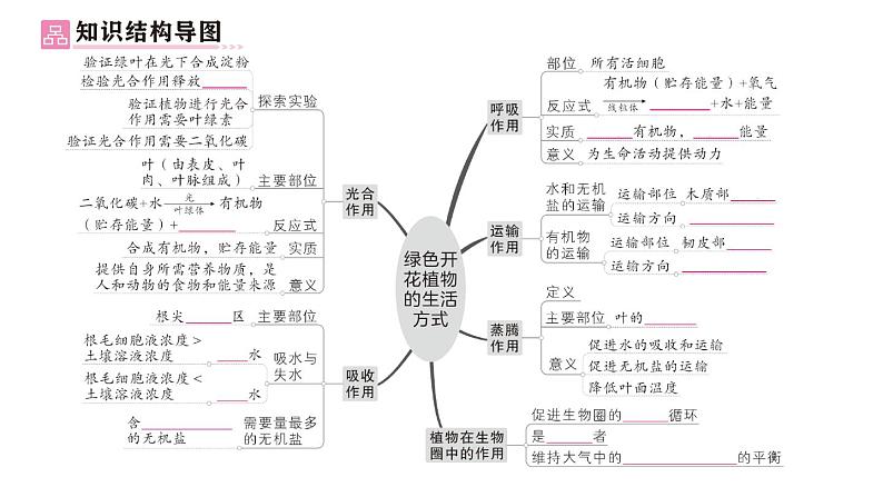 初中生物新北师大版七年级上册第3单元第4章 绿色开花植物的生活方式总结训练作业课件2024秋第2页