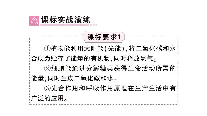 初中生物新北师大版七年级上册第3单元第4章 绿色开花植物的生活方式总结训练作业课件2024秋第3页