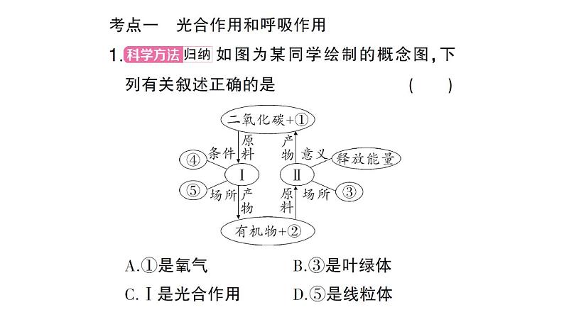 初中生物新北师大版七年级上册第3单元第4章 绿色开花植物的生活方式总结训练作业课件2024秋第4页