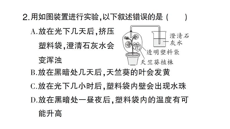 初中生物新北师大版七年级上册第3单元第4章 绿色开花植物的生活方式总结训练作业课件2024秋第5页