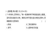 初中生物新北师大版七年级上册第3单元第4章 绿色开花植物的生活方式综合训练作业课件（2024秋）