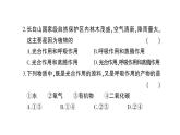 初中生物新北师大版七年级上册第3单元第4章 绿色开花植物的生活方式综合训练作业课件（2024秋）