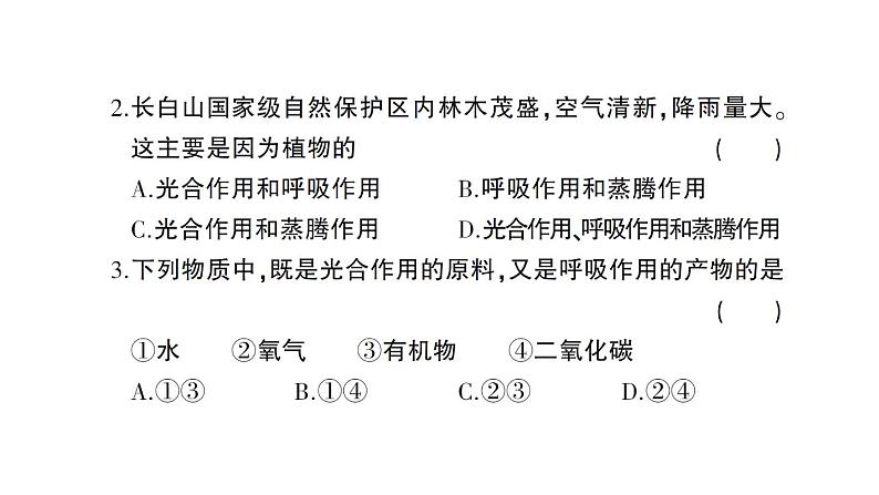 初中生物新北师大版七年级上册第3单元第4章 绿色开花植物的生活方式综合训练作业课件（2024秋）03