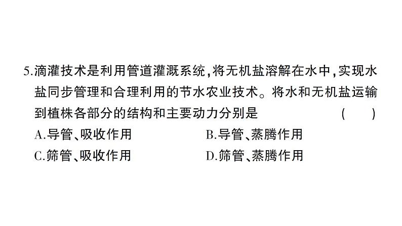 初中生物新北师大版七年级上册第3单元第4章 绿色开花植物的生活方式综合训练作业课件（2024秋）05