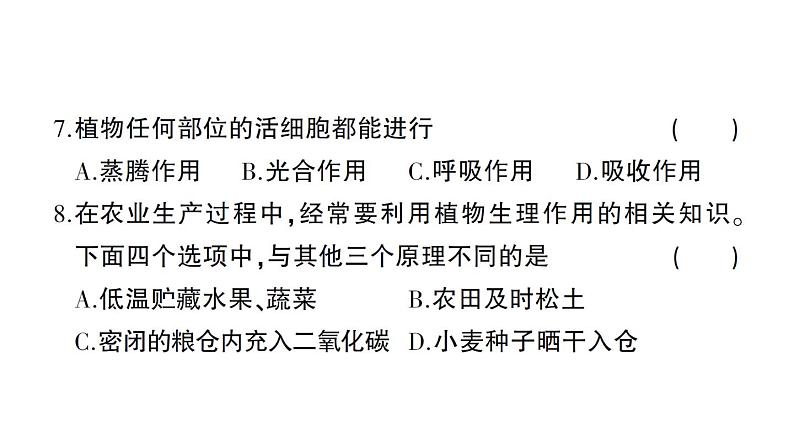 初中生物新北师大版七年级上册第3单元第4章 绿色开花植物的生活方式综合训练作业课件（2024秋）07