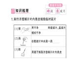初中生物新北师大版七年级上册第2单元第2章第1节第3课时 植物细胞的结构和功能作业课件2024秋