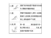 初中生物新北师大版七年级上册第2单元第2章第1节第3课时 植物细胞的结构和功能作业课件2024秋