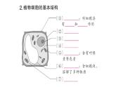初中生物新北师大版七年级上册第2单元第2章第1节第3课时 植物细胞的结构和功能作业课件2024秋