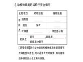 初中生物新北师大版七年级上册第2单元第2章第1节第3课时 植物细胞的结构和功能作业课件2024秋