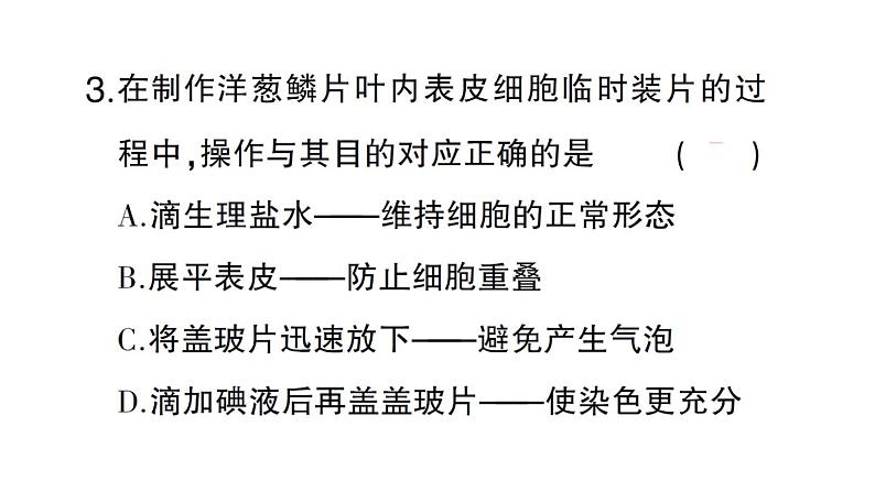 初中生物新北师大版七年级上册第2单元第2章第1节第3课时 植物细胞的结构和功能作业课件2024秋第8页