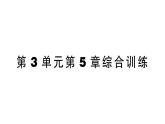 初中生物新北师大版七年级上册第3单元第5章 绿色开花植物的生活史综合训练课件（2024秋）