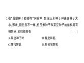 初中生物新北师大版七年级上册第3单元第5章 绿色开花植物的生活史综合训练课件（2024秋）