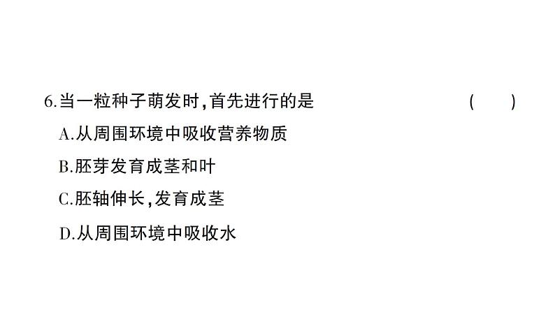 初中生物新北师大版七年级上册第3单元第5章 绿色开花植物的生活史综合训练课件（2024秋）06