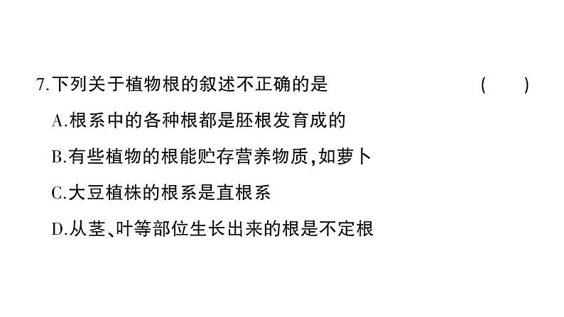 初中生物新北师大版七年级上册第3单元第5章 绿色开花植物的生活史综合训练课件（2024秋）07
