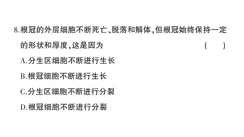 初中生物新北师大版七年级上册第3单元第5章 绿色开花植物的生活史综合训练课件（2024秋）08
