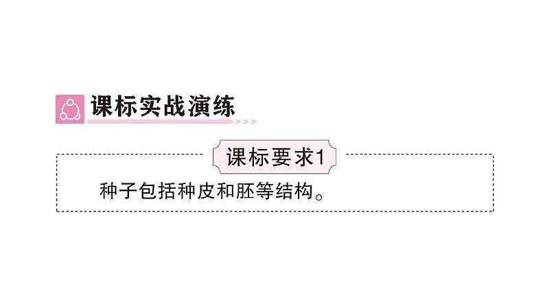 初中生物新北师大版七年级上册第3单元第5章 绿色开花植物的生活史总结训练作业课件2024秋03