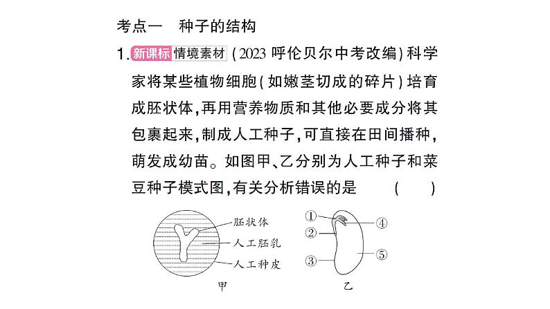 初中生物新北师大版七年级上册第3单元第5章 绿色开花植物的生活史总结训练作业课件2024秋04