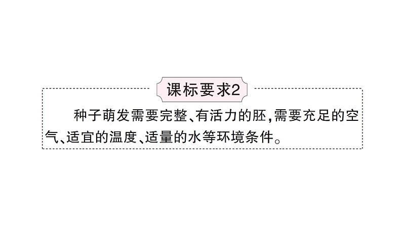 初中生物新北师大版七年级上册第3单元第5章 绿色开花植物的生活史总结训练作业课件2024秋06