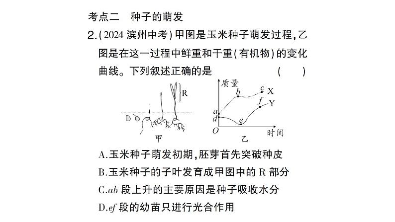 初中生物新北师大版七年级上册第3单元第5章 绿色开花植物的生活史总结训练作业课件2024秋07