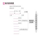 初中生物新北师大版七年级上册第1单元第1章 认识生物和生物学总结训练作业课件2024秋
